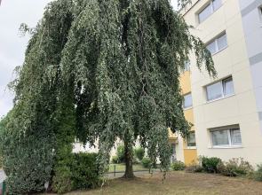 Airport Apartment Köln/Bonn