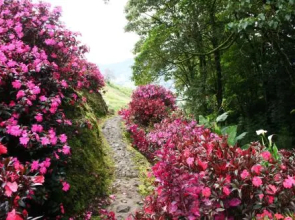 Hacienda las Nubes