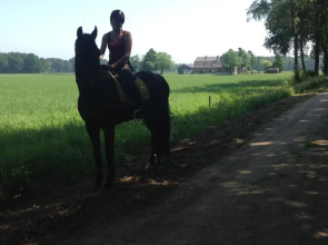 De Handwijzer Hengelo