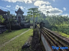 Villa Taman near Sidemen Bali