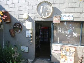 Chane Cheese Farm & Lodge