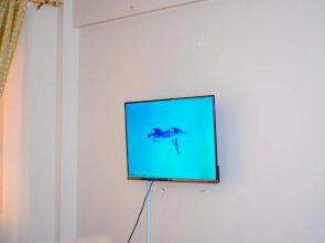 Itumo by Homes by Della