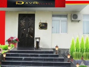 Hotel David