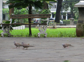 The Loji Patra Kuningan by RedDoorz