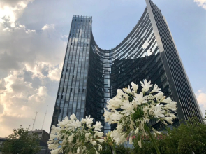 Plaza Suites México City 2403