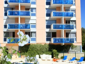 Les Agapanthes