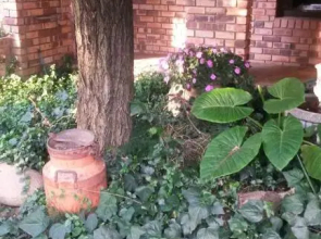 Vaal River Guest House