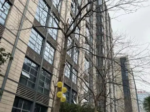 Golden Citypin Apartment