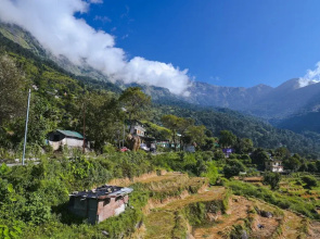 Shiva Homestay