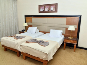 paradise home city stars