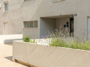 Beach & Palms Apartment