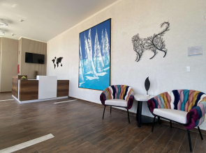 Aruba Boutique & Art Hotel, Adults Only