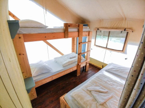 Sunflower Camping