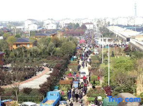 Shell Changzhou West Taihu Lake Xiaxi Flower Marke