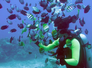 Surfside Boracay Resort