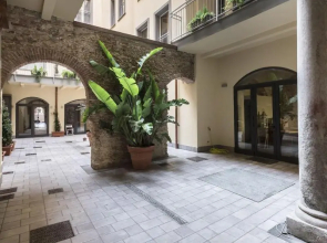 Agave in città