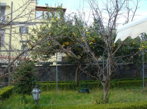 Villa Luisa