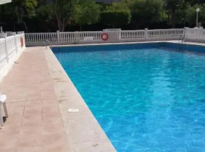 Palmeral de Torrevieja