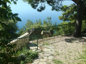 Mimica