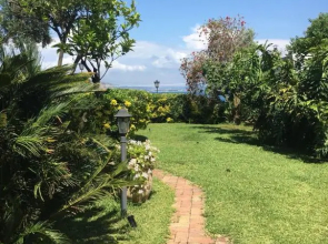 Summer Paradise