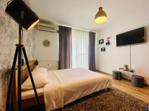 Oradea Gray Apartment