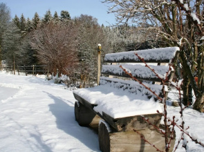 Ferienwohnung im Schwarzwald mit Garten