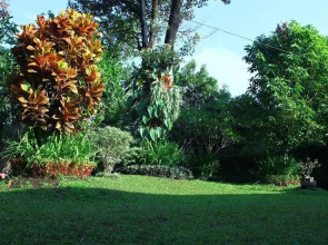 Puri Pangeran Hotel Yogyakarta