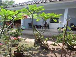 Jibril Guest House