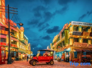 Film and Television Theme Hostel