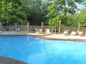 A Charming Cabin Pool Firepit Hot Tub-jacuzzi