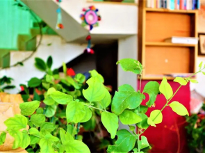 The Wanderlust Guest House
