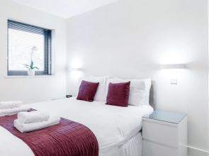 Roomspace Apartments -New Manor House