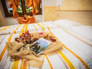 Albergo Alt Spaur