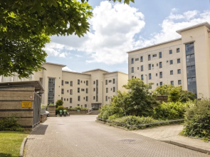 Belmont Apartments and Rooms