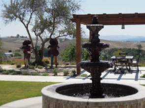 Croad Vineyards - The Inn