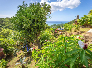 Villa d'une chambre avec vue sur la mer piscine partagee et spa a Deshaies a 6 km de la plage