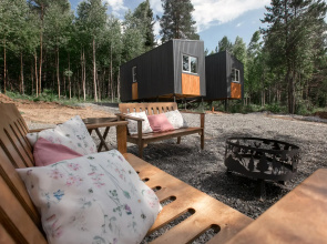 Cozy house in the forest
