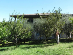 Villa Mafalda