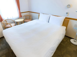 Toyoko Inn Kenkyu-gakuen Ekimae