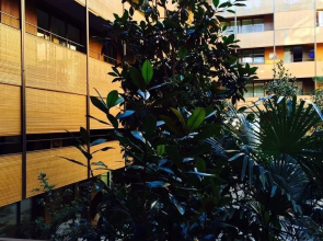 Central Apartments Lucerne