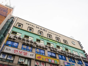 Ansan Mari