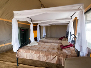 Serengeti Wild Camp
