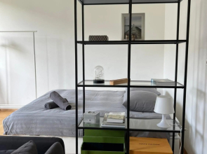 Luxury Apartment in Central Geneva