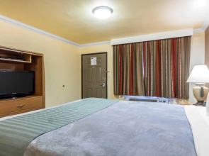 Inn By the Coliseum