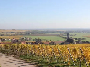Gites Chez le Vigneron