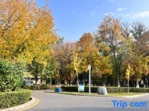 Shihezi Hotel