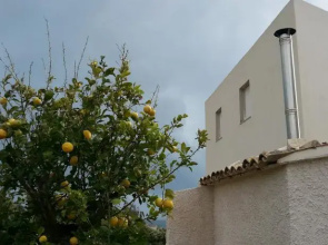 Olea Domus
