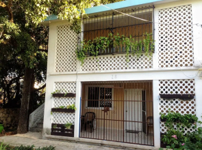 Casa MayaPlant