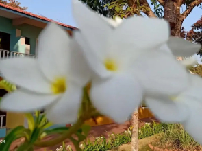 Hotel Hill Rock Goa