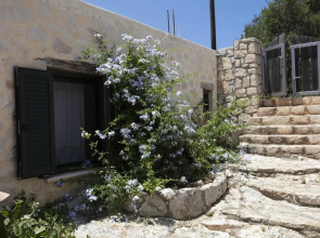 Anemos Studio